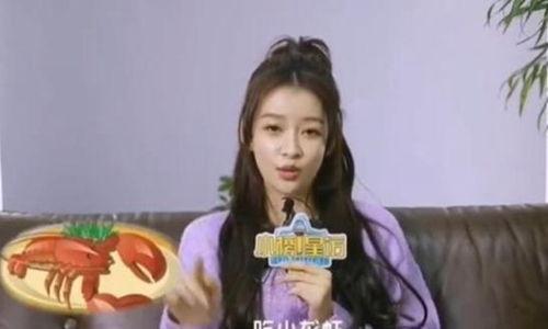 演员小龙虾,演艺圈的新星崛起之路